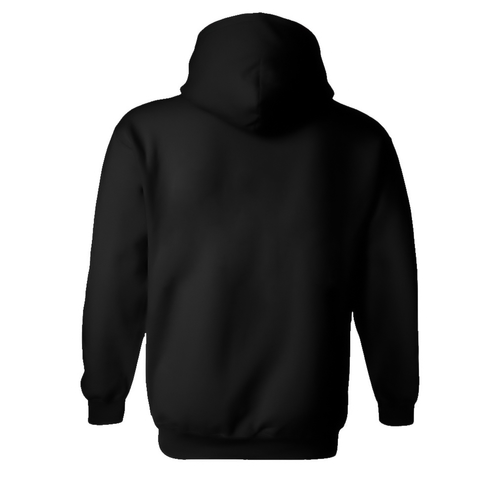 VL Hoodie (Classic) - Image 2
